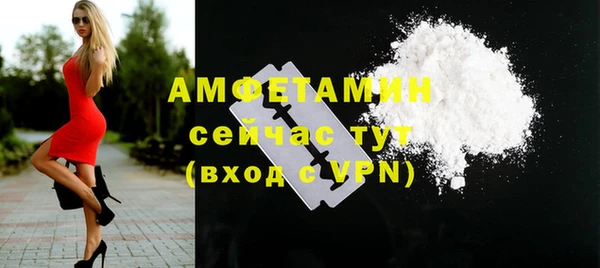 мет Инта