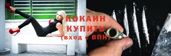мет Инта