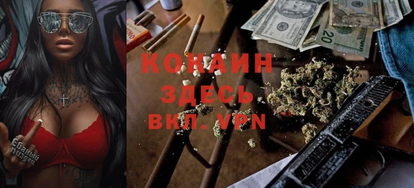 мет Инта