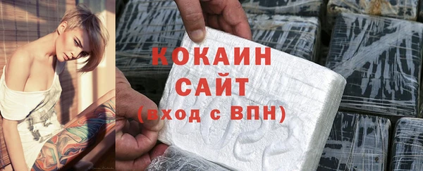мет Инта