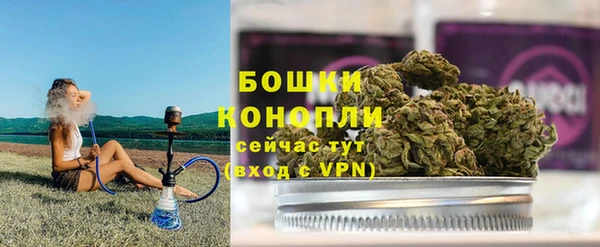 мет Инта