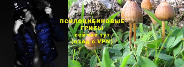 кокс Иннополис