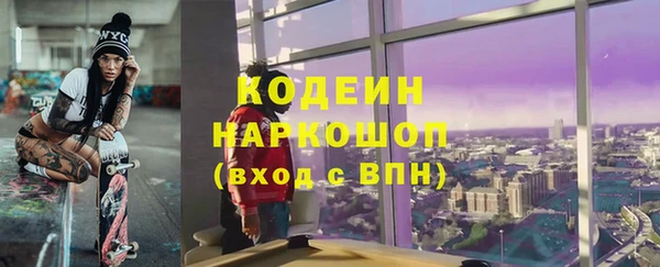 мет Инта