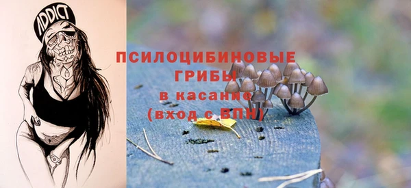 мет Инта
